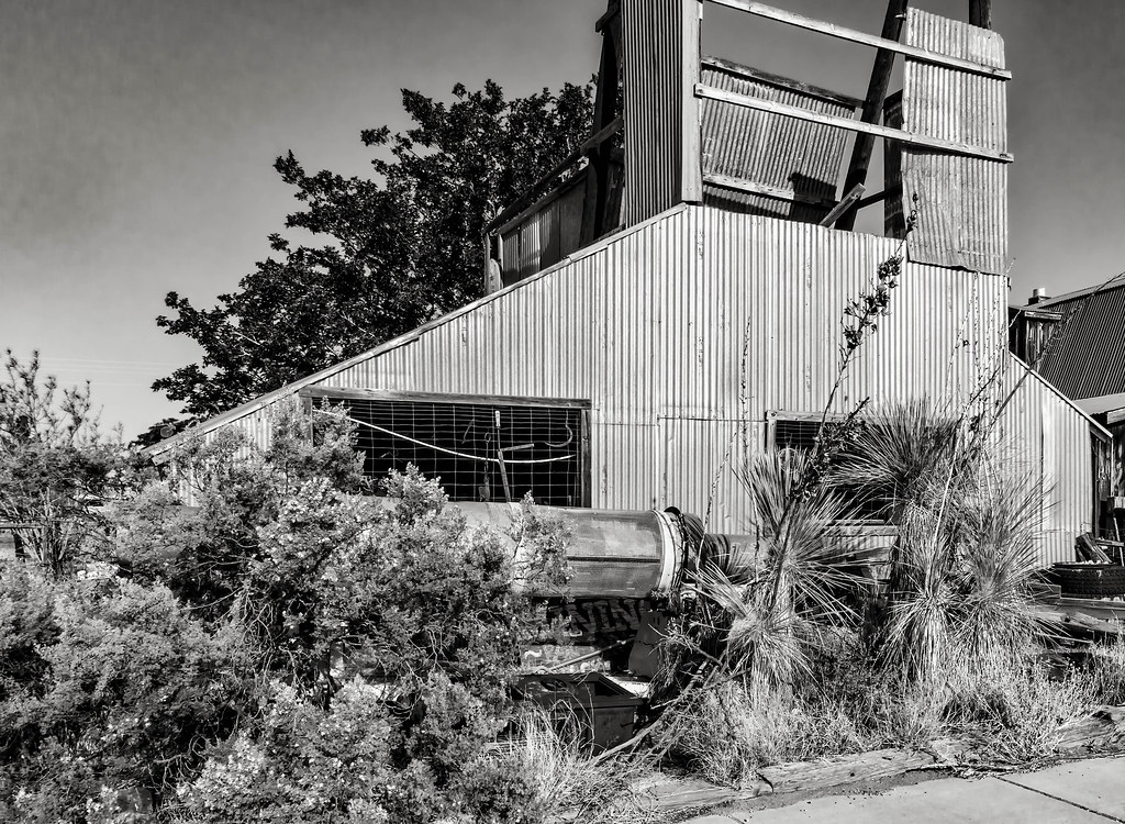 Desert Exploration Orogrande, New MexicoApril 2016 Barbara McCourt