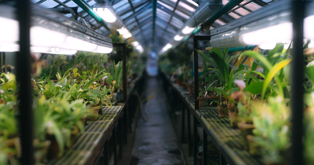 glass garden Pal Sol Flickr