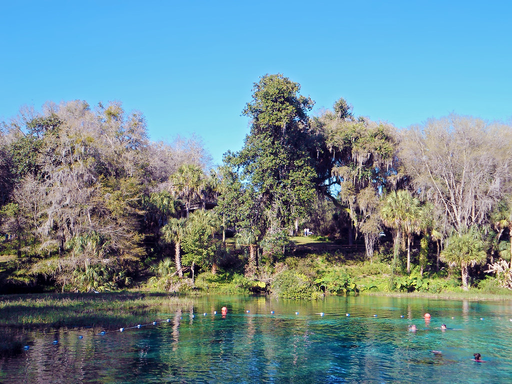 Rainbow Springs and Park Scenery View is from the swimming… Flickr