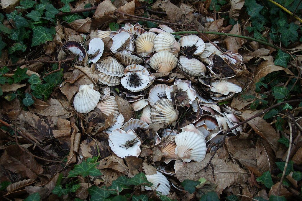 Beach Road Car Park, Beach Road, Branksome Park, Poole, Do… Flickr