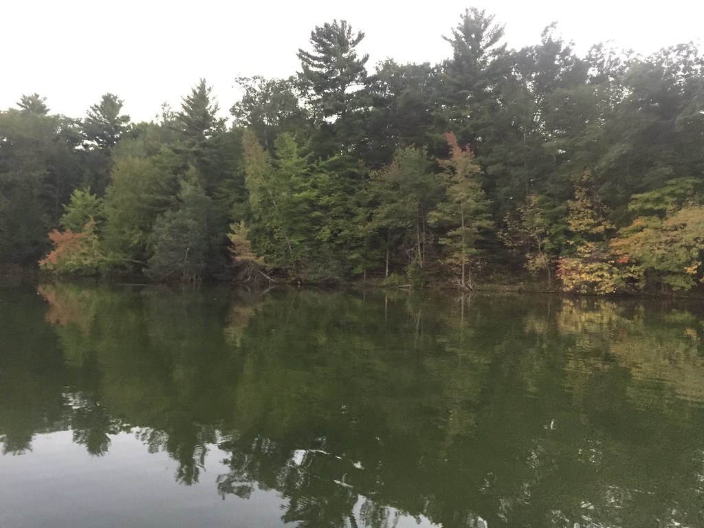 Wisconsin Lion's Camp; Rosholt, Wisconsin 2015 tofightfortheright