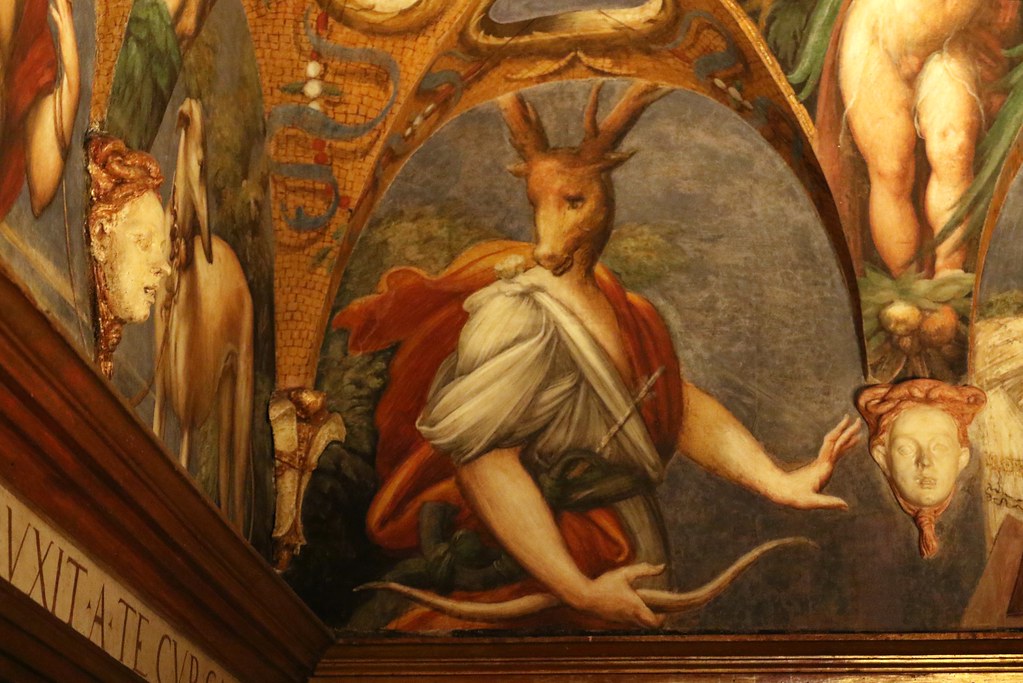 Atteone trasformato in cervo saletta di Diana e Atteone … Flickr