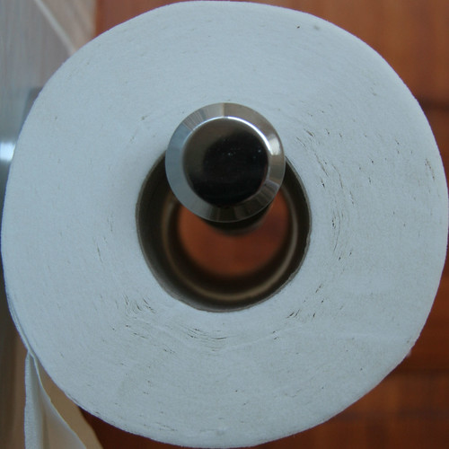 Toilet roll Brian Snelson Flickr