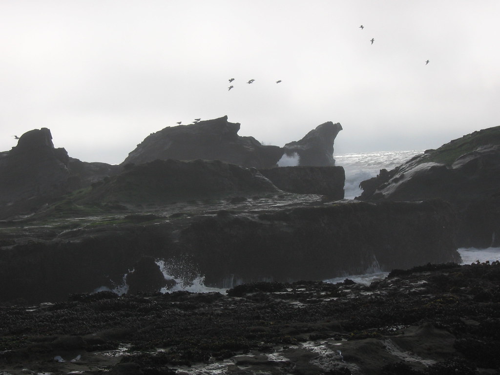 El Granada, CA El Granada, CA, near Half Moon Bay, during … Flickr
