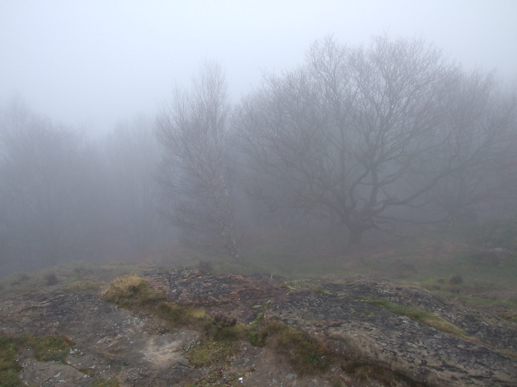 Fog Etching Hill Rugeley Brian Flickr