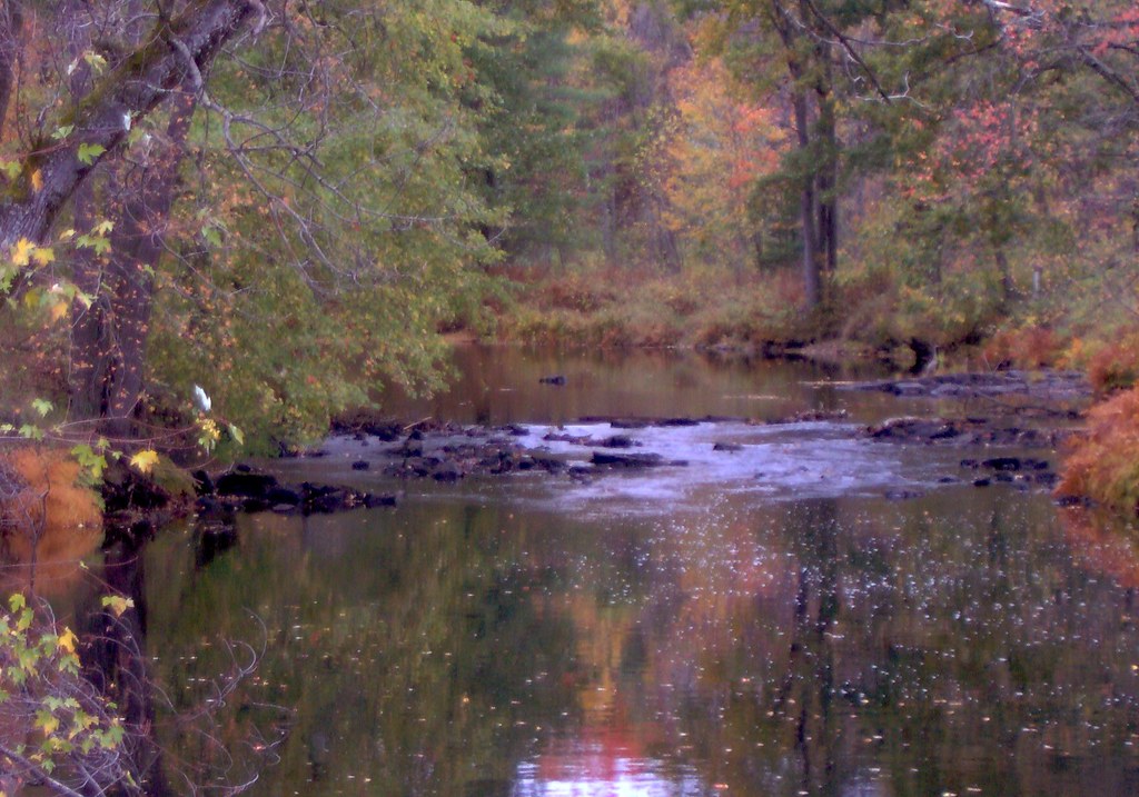 Flinton Rd Lake 5 beauty Flinton Road Lake in autumn Flickr