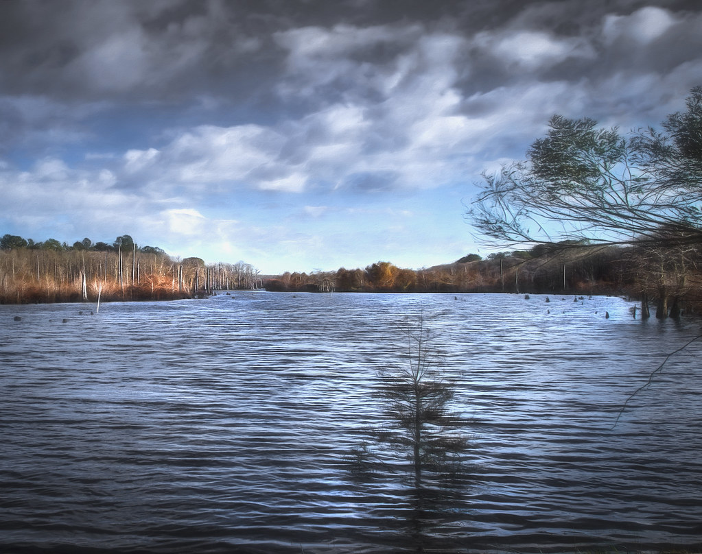 Dead Lakes Wewahitchka, Florida legendary Dead Lakes, a … Flickr