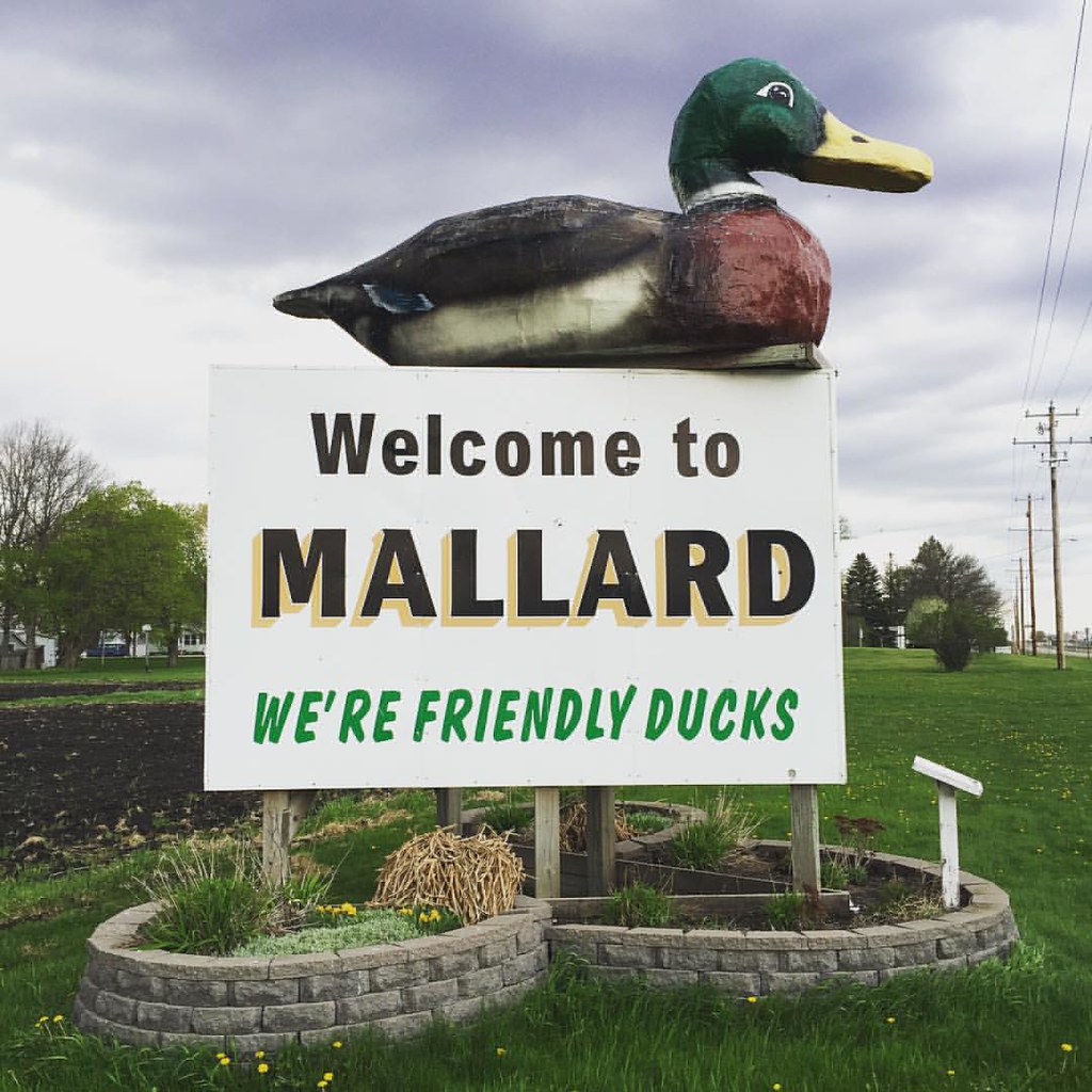 Mallard, Iowa 118/365 project365 365 mallard iowa duc… Flickr