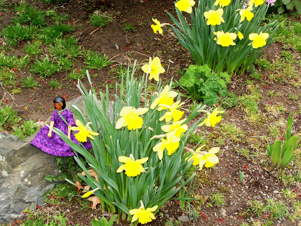 Rocky resting spot in Anne's garden Pamela can't sit here … Flickr