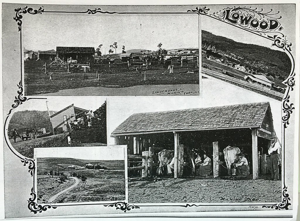 View of Lowood, Qld 1901 Taken from the Queensland Agric… Flickr