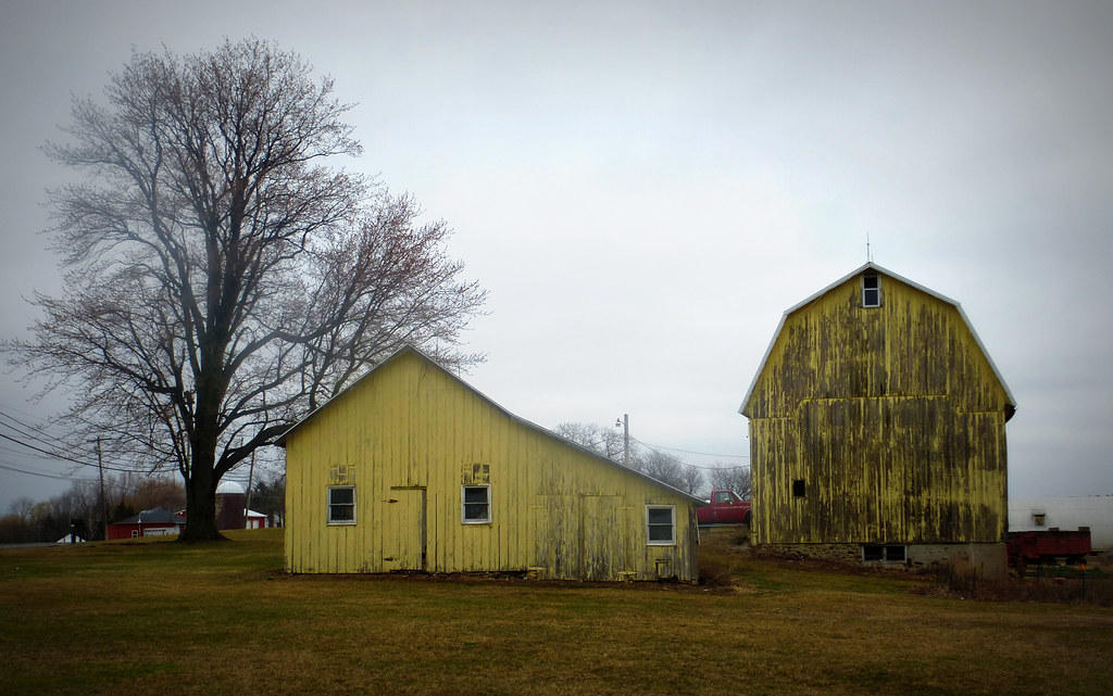 Schreiber Farm, ster, NY Paul Flickr
