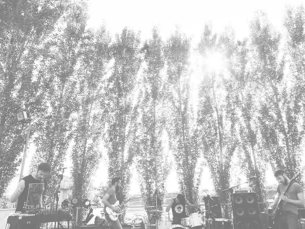 fake plastic trees In Zaire live Federico Stroszek Flickr