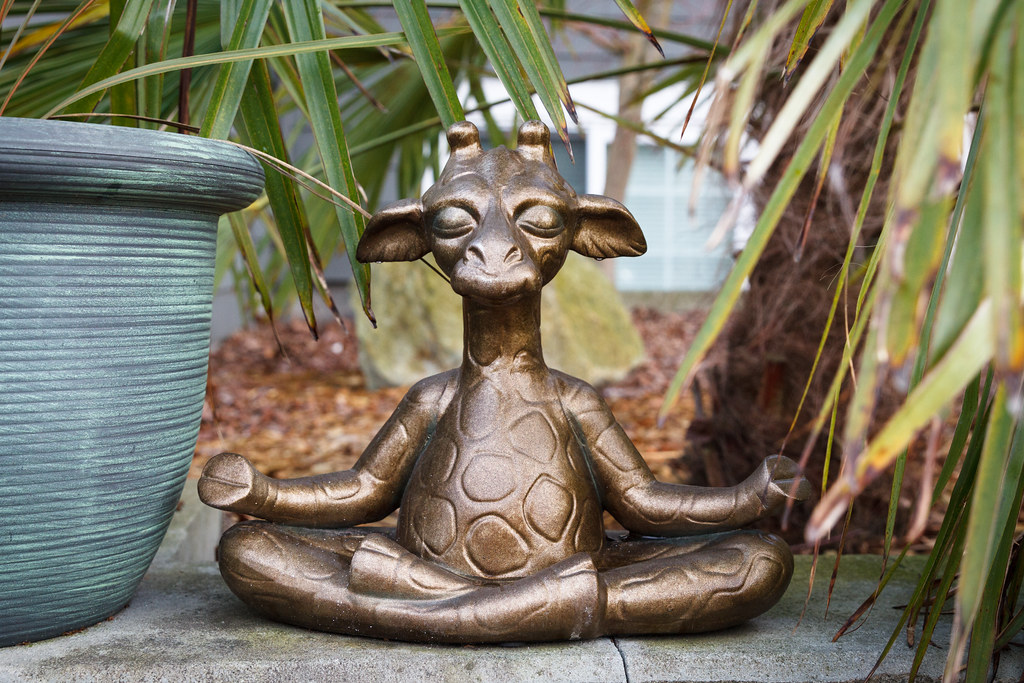 zen giraffe Someone's random giraffe statue. Emily Flickr