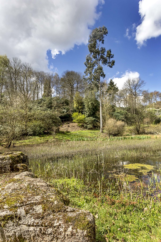 Lydney Park Estate, Gloucestershire, UK Lydney Park Estate… Flickr