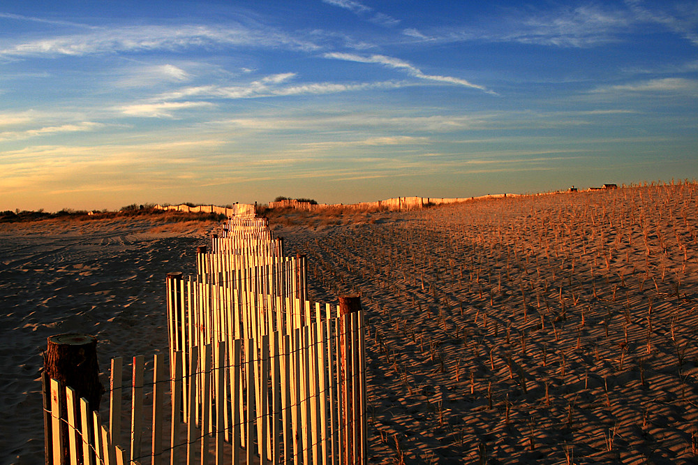 Elevation of Scott Ave, North Cape May, NJ, USA Topographic Map