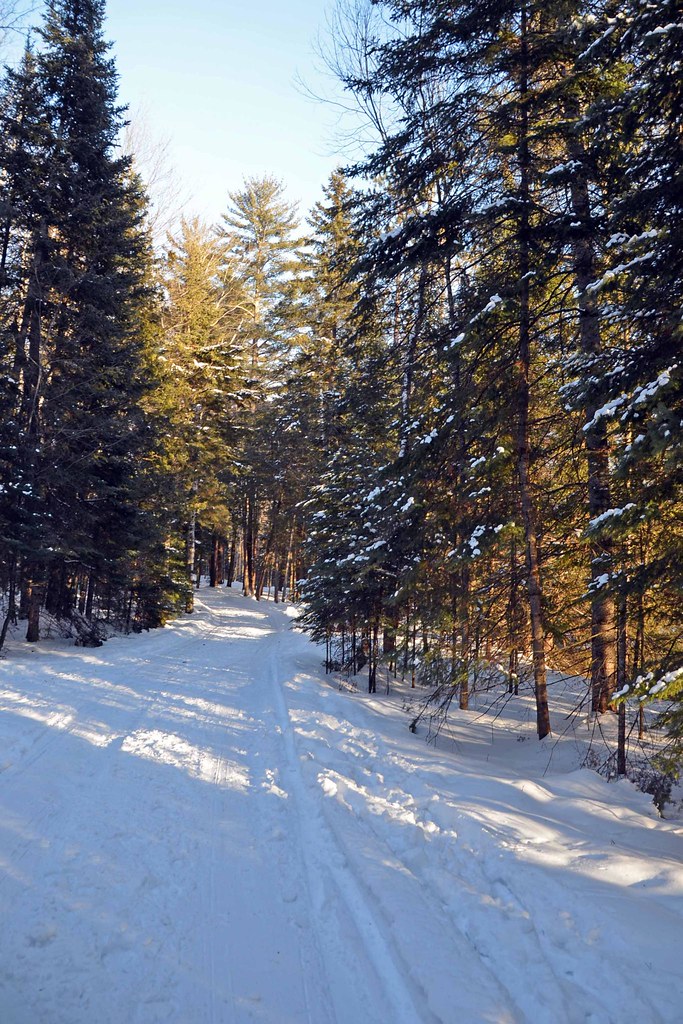 Snow Covered road Elk Viewing Sleigh Ride Thunder Bay … Flickr