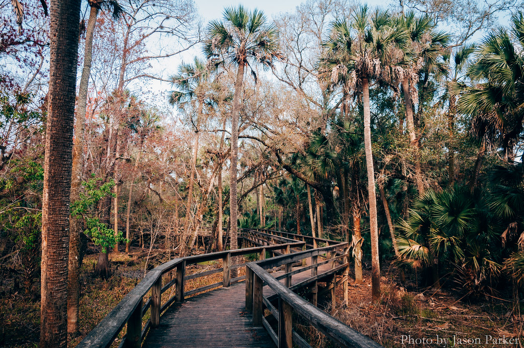 Haw Creek Preserve Haw Creek Preserve is a small park outs… Flickr