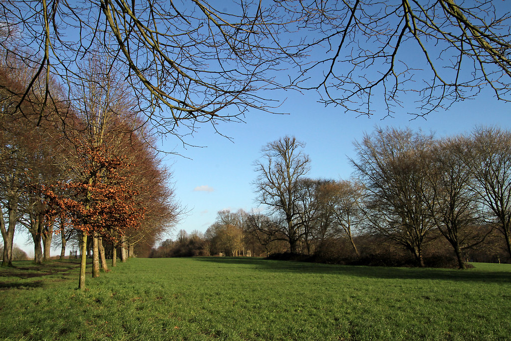 Farnham Park, Surrey. Winter scene in Farnham Park, Farnha… Flickr