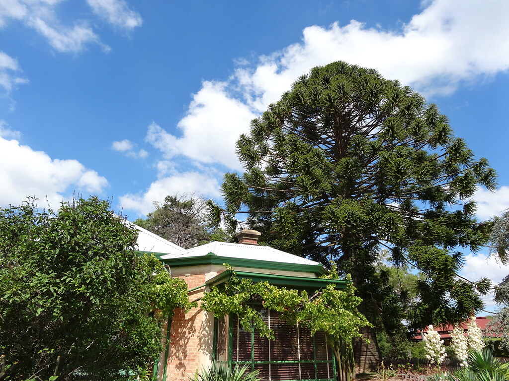 Castlemaine. Buda House and garden. This historic home whi… Flickr
