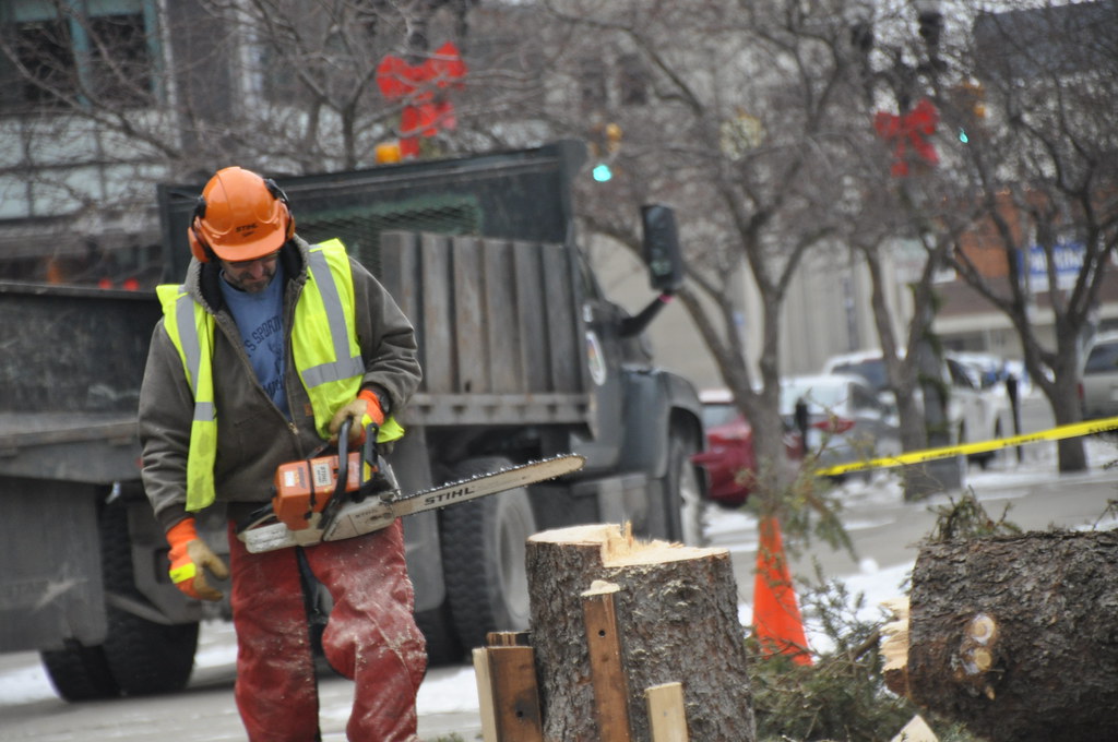 Captol Christmas Tree Take Down Flickr