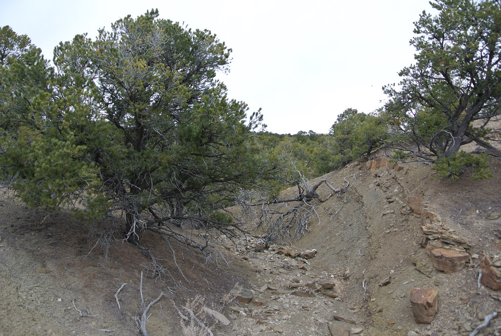 Cerro Gordo Road landscape Pictures from my February 201… Flickr