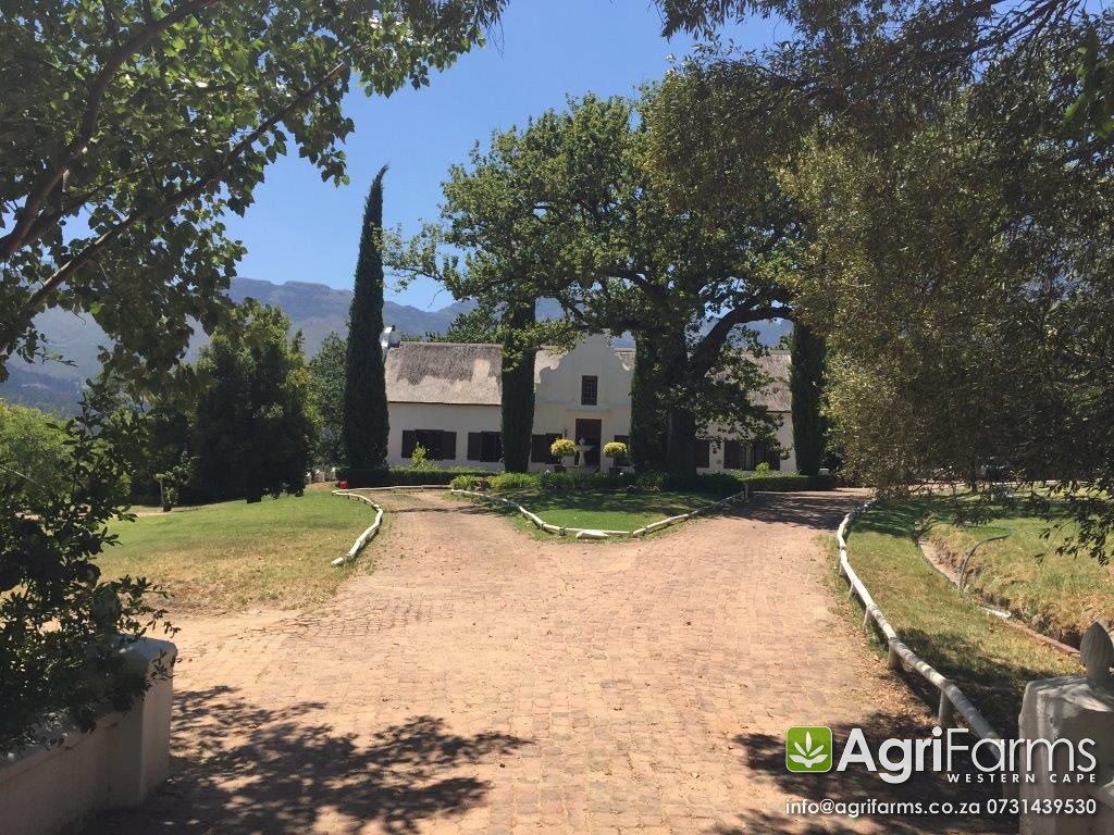 Lifestyle, Guest & Olive Grove Smallholding AGF0220