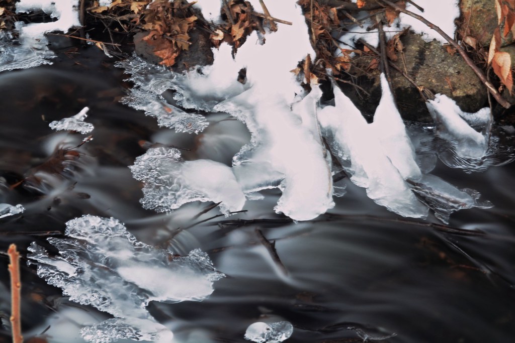 2016_0106JanuaryBrook0007 Parsonsfield, Maine. Practicing… Flickr