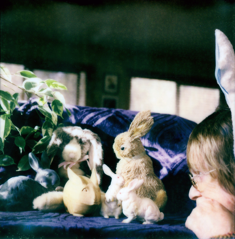 the only good bunnies.... .are the house bunnies. the r… Flickr