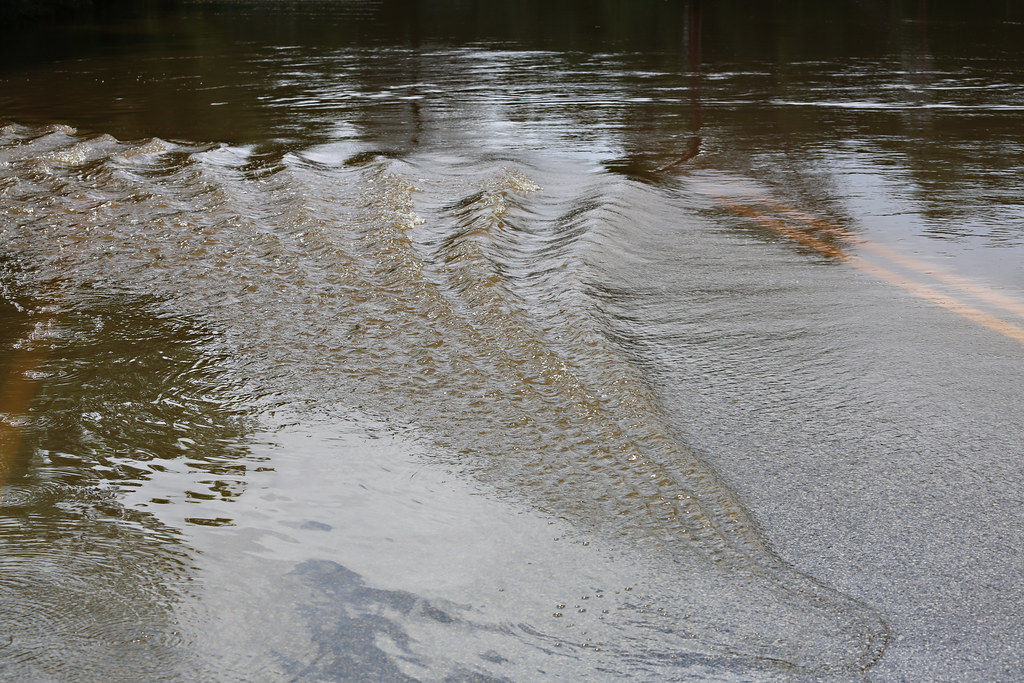 Roman Forest Flood, 41916 at 230 PM Jill Carlson
