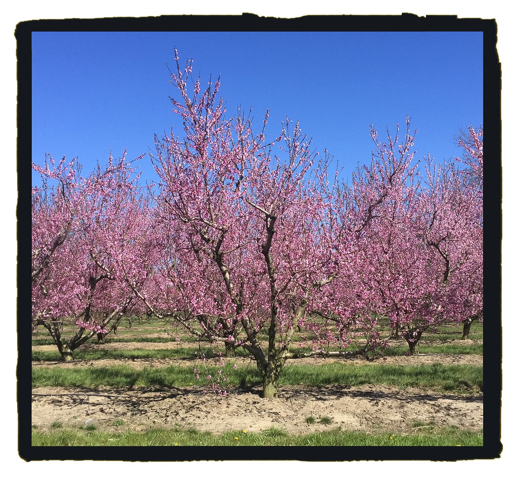 Elevation of Glassboro, NJ, USA Topographic Map Altitude Map