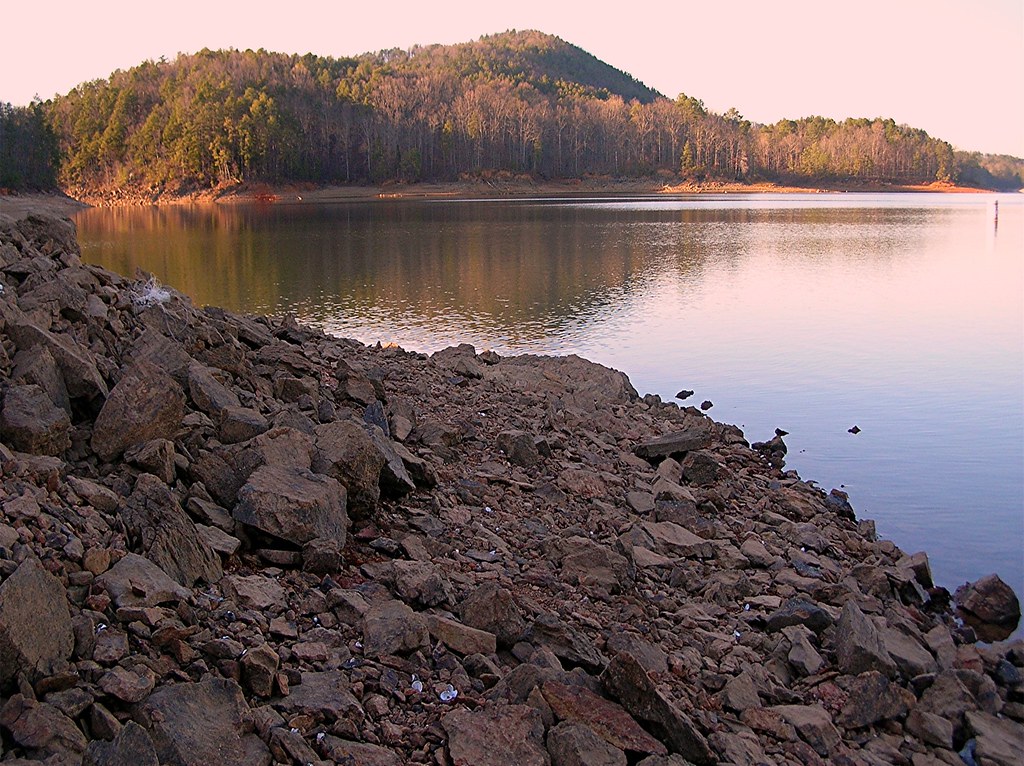 Vineyard Cartersville Emerson, Lake Allatoona Kendrick