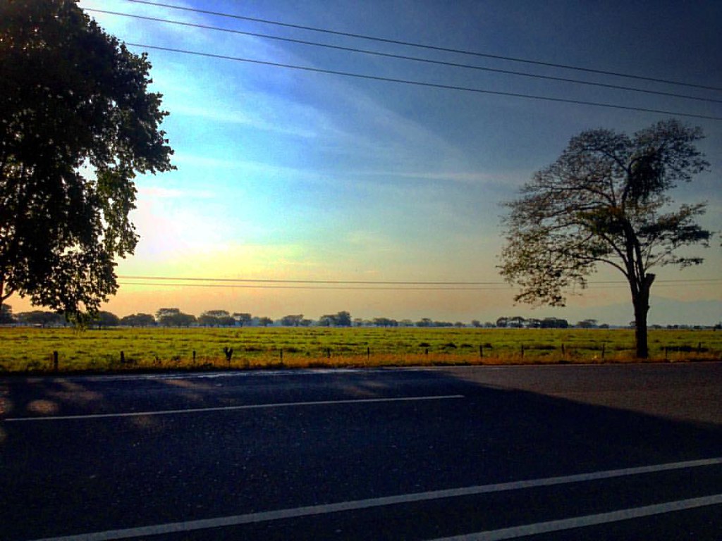 (El llano Venezolano, vía PirituTuren, Municipio Turen, E… Flickr
