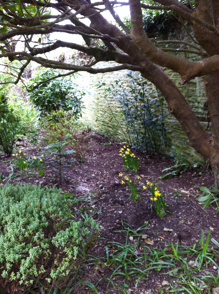 Kingsbridge Museum Garden 2016 Judy Hales Flickr