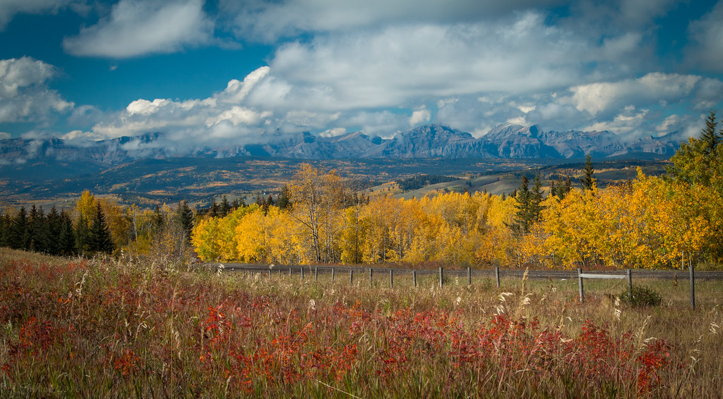 Elevation of 16 Paint Horse Dr, Cochrane, AB T0L, Canada Topographic