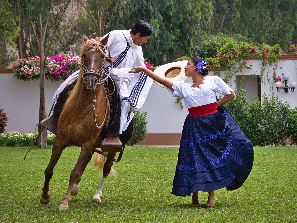 Marinera dance with Peruvian Paso horse Marinera dance wit… Flickr