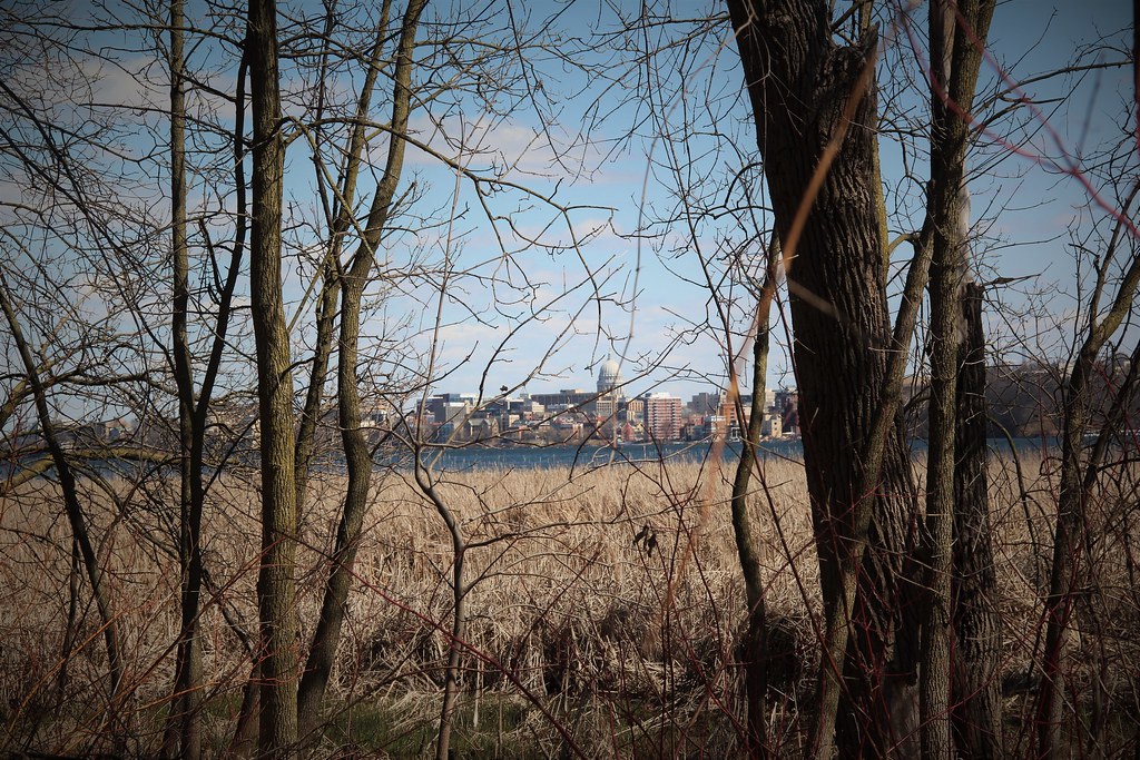 Lakeshore Nature Preserve Timothy Beatley defines a biophi… Flickr