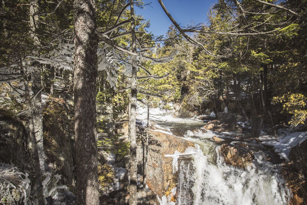 Elevation of Dallas Plantation, ME, USA Topographic Map Altitude Map