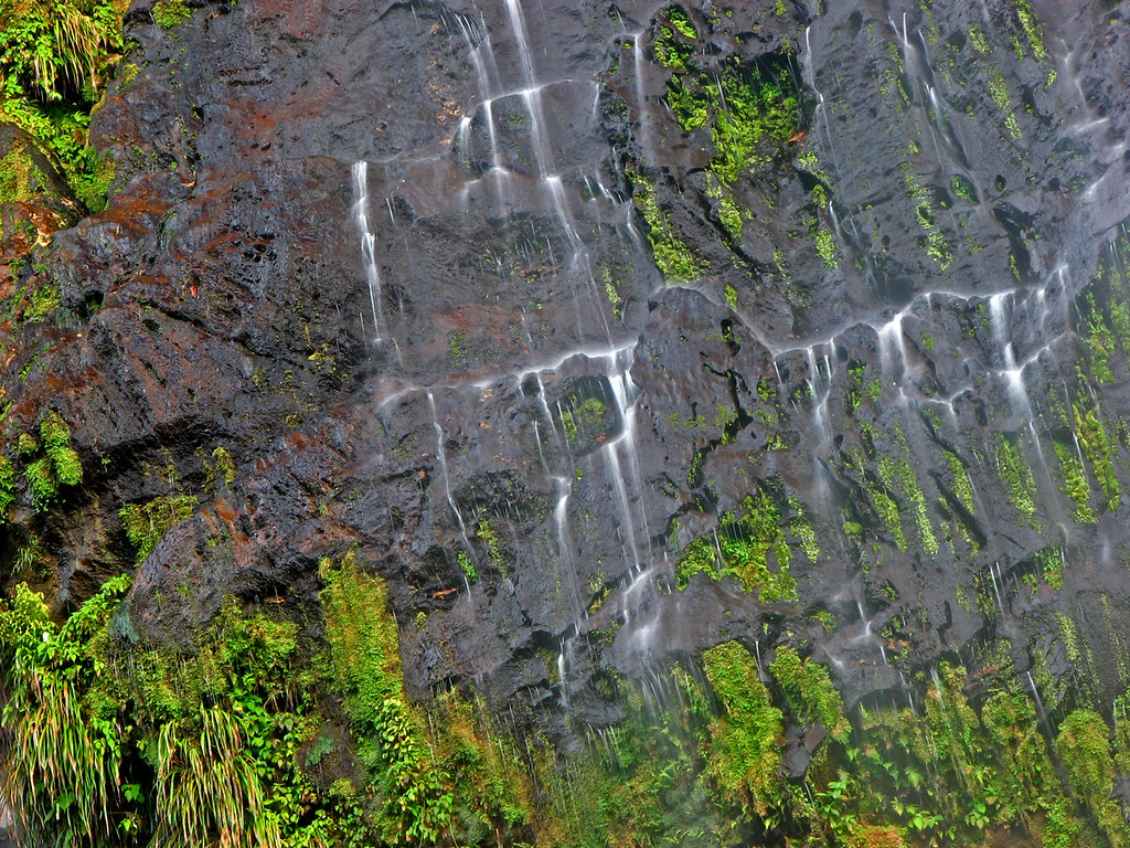 Maracas Falls 002 a photo on Flickriver