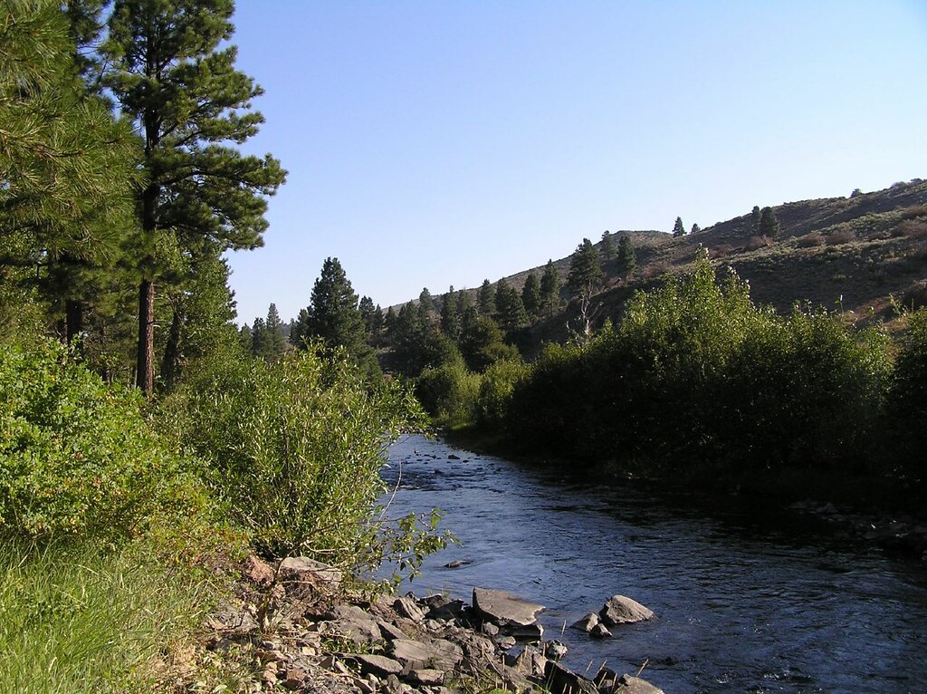 Paisley, Oregon Murder_Of_Crows Flickr