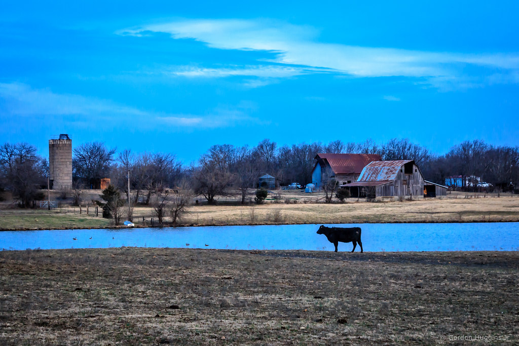 early morning at the farm gordon huggins Flickr