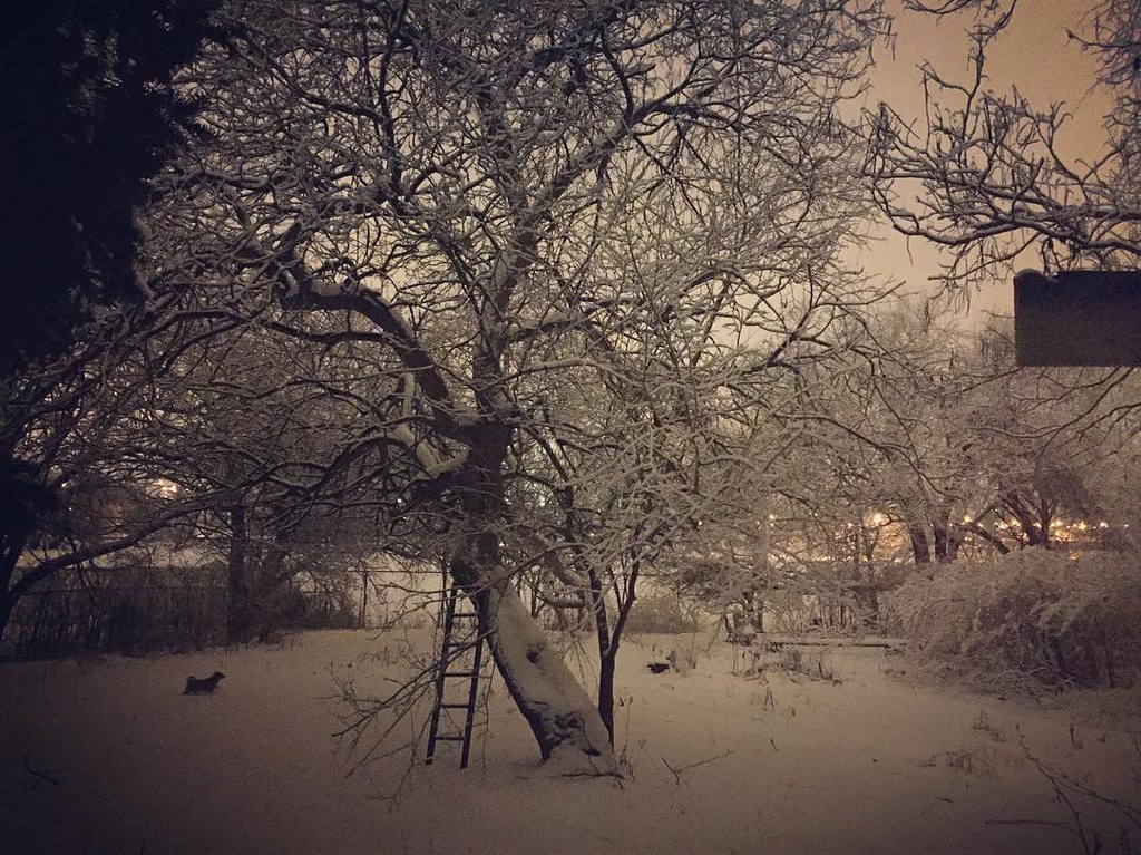 It never gets dark in the winter 👻 by christinefroggatte … Flickr