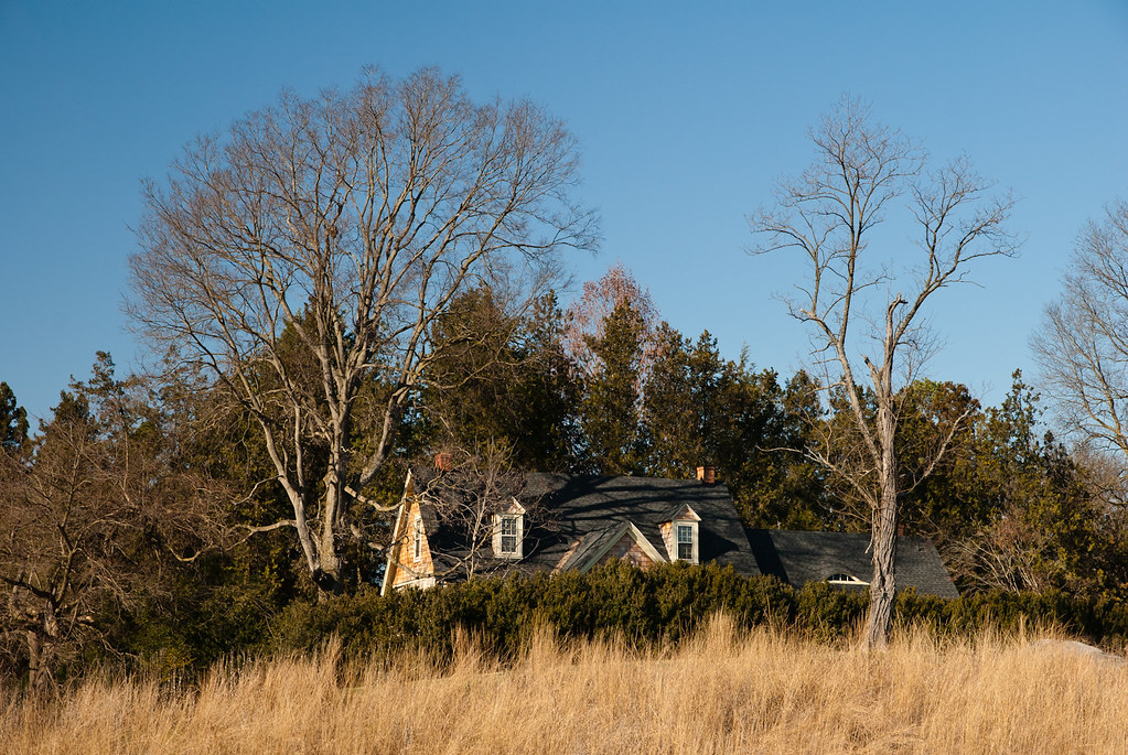Landscape, State Arboretum of Virginia, Boyce, January 7, … Flickr