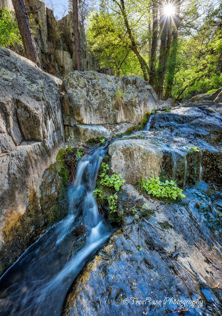 Springs Eternal "Springs Eternal" A rather lengthy hike i… Flickr
