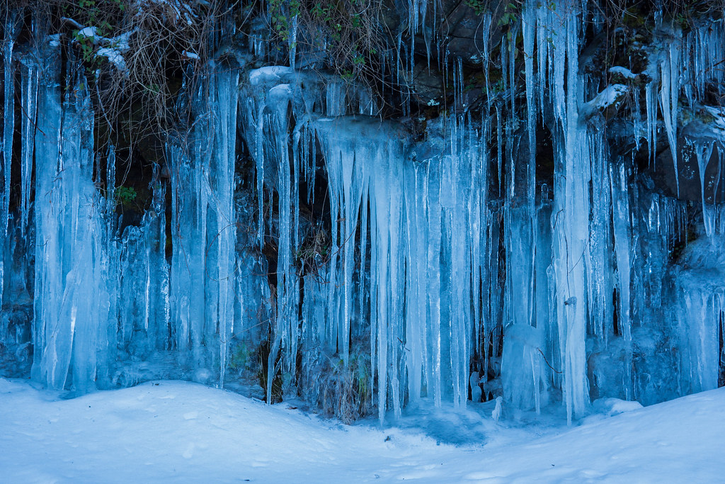P1310499 Cello? You've Got a Bass! Flickr