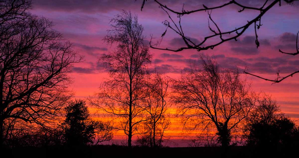 Marmalade sky If anything, this morning's colours looked e… Flickr
