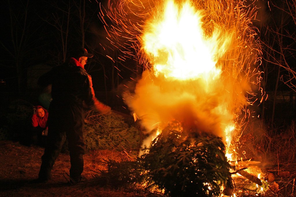 Christmas tree burning After the fire has died down, marsh… Flickr