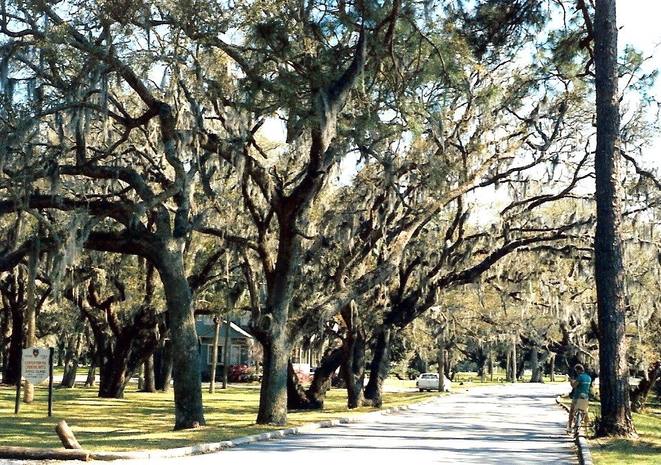 JEKYLL ISLAND, Riding our bikes around the islan… Flickr
