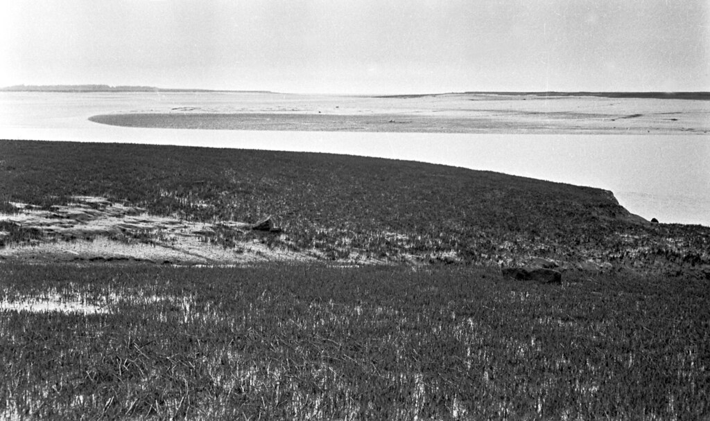 Low tide on the Hortonville dykelands at the head of the B… Flickr