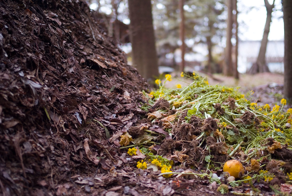 Neighbor's compost Envious of neighbor's big compost pile Joi Ito