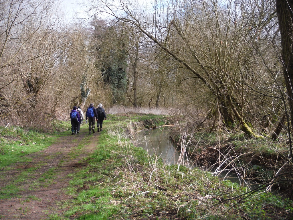 Beside the Flit River, Flitwick Moor SWC Walk 231 Flitwick… Flickr